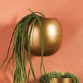 Modern Minimalist Gold Sphere Metal Wall Planter